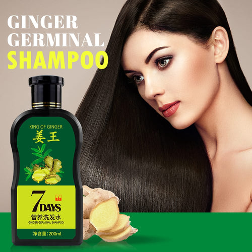 Formula Ginger Shampoo for Anti Hair Loss