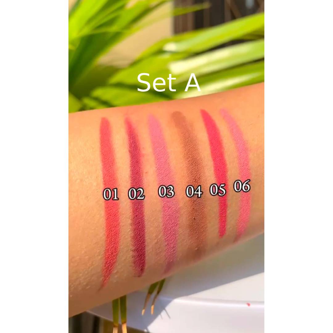 Miss Rose Matte Lip Pen Lipsticks 6Pcs Set