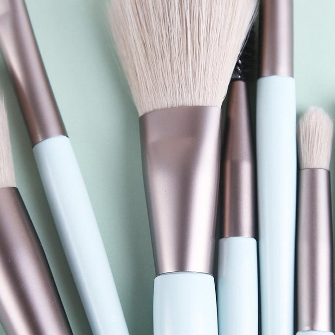 8 in 1 Mini Wooden Handle Makeup Brush Set