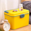Portable Handle Double Layer First Aid Medicine Storage Box