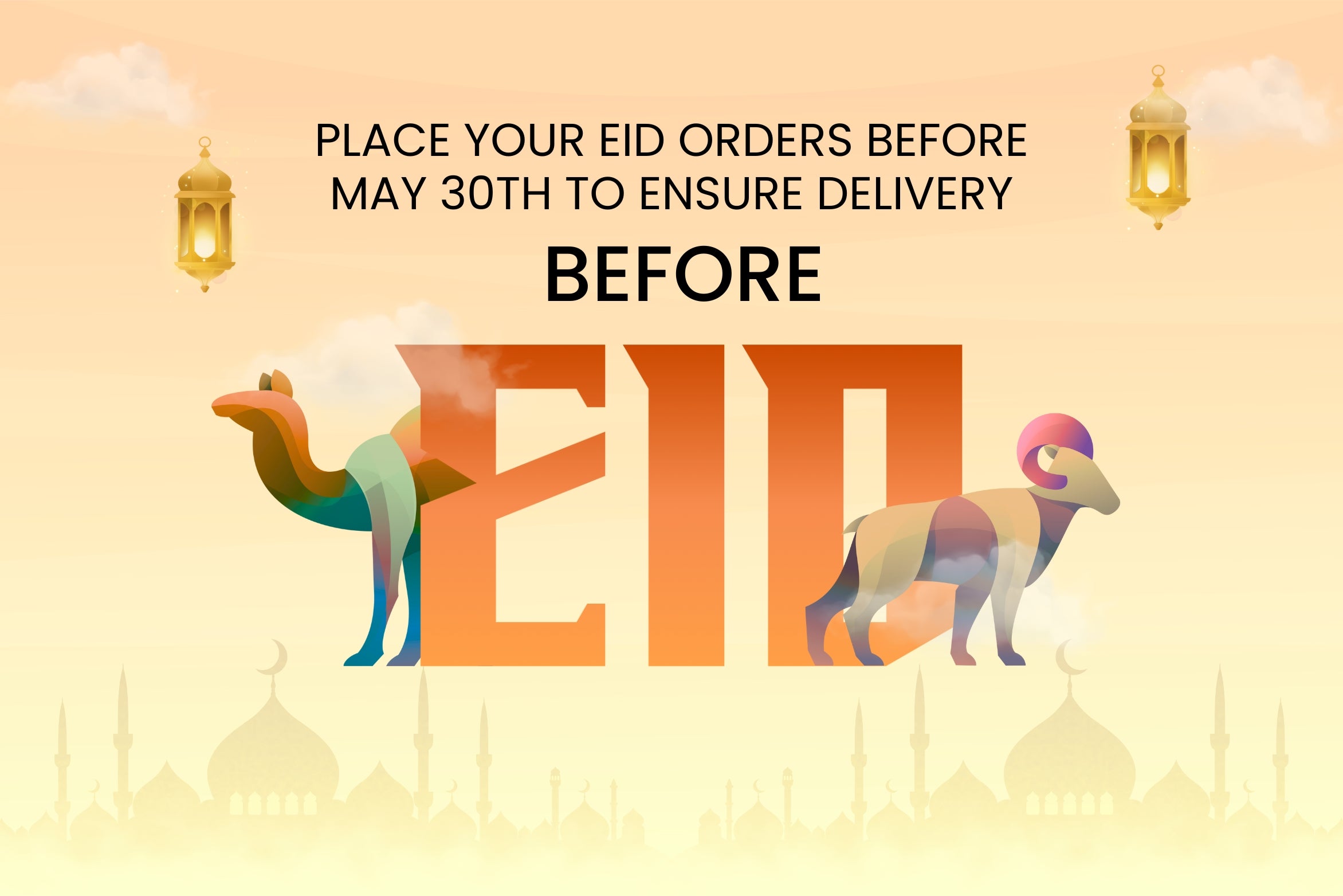 Special Offer