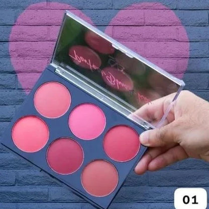 CVB 6in1 Perfect Blush Kit