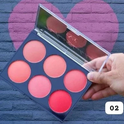 CVB 6in1 Perfect Blush Kit