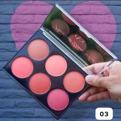 CVB 6in1 Perfect Blush Kit