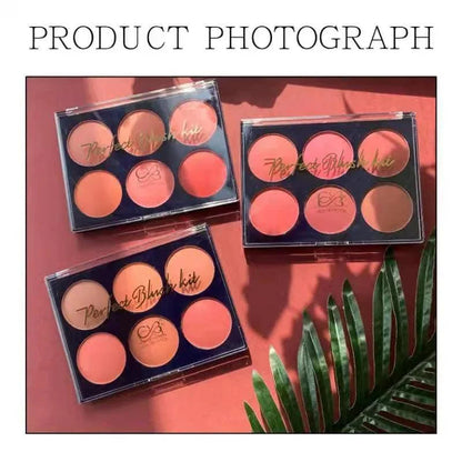 CVB 6in1 Perfect Blush Kit