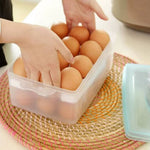 2 Layers Egg Storage Box 24 Egg Capacity