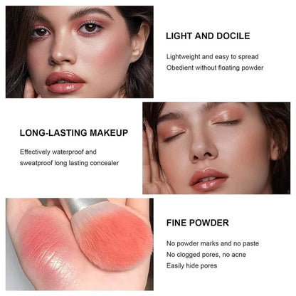 Carla Secret 12-Color Cream Concealer & Blush Palette