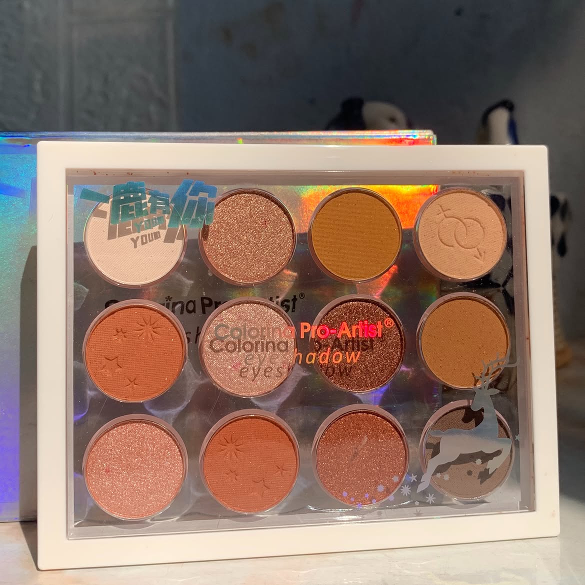 Colorina Pro Artist Prettiest Shades Eyeshadow Palette
