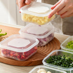 Multipurpose Sealed Frozen Meat Box Compartment Food Preservation Storage Box 3Pcs Set