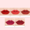 HengFang Velvet Lipsticks Set of 5