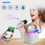 Portable Wireless Bluetooth Mini Karaoke Machine With Microphone And Bluetooth Speaker