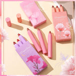 Dragon Ranee Light Luxury Nude Matte Lipstick Lip Crayon 3Pcs Set