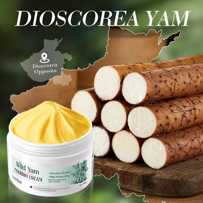 Sadoer Wild Yam Repair Nourish Cream Smooth Wrinkles High Moisturizing