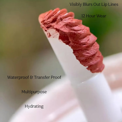 Mocallure Korean Bow Knot Lip Mud Long Lasting Lip Gloss 4Pcs Set