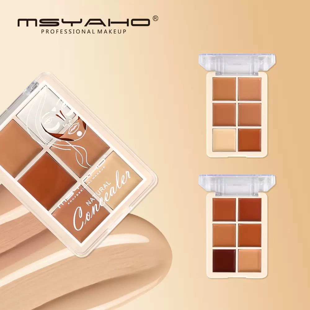 MSYAHO Professional 6 Color  Natural Concealer Palette