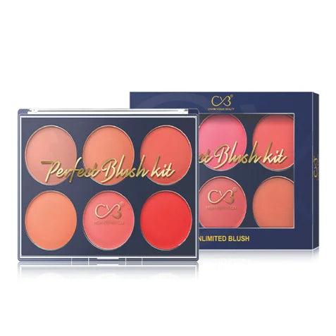CVB 6in1 Perfect Blush Kit