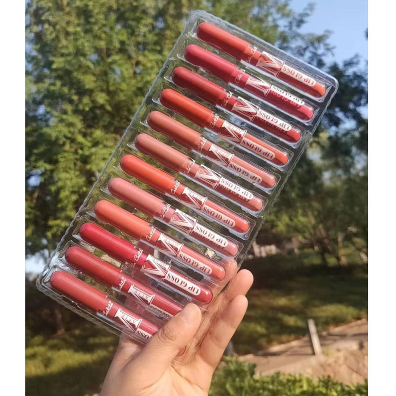 Color Castle Full Color Long Lasting Natural Matte Lip Gloss 12Pcs Set