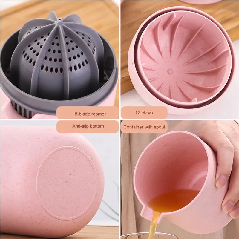 Mini Portable Manual Hand Press Juicer