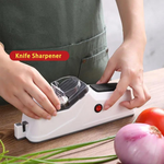 Professional Electric Knife Sharpener