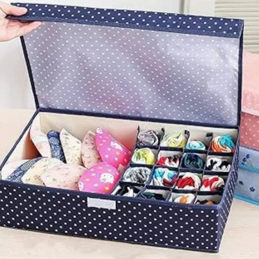Undergarments Organizer Box With Lid Large Size 12 Small Pockets 1 Big