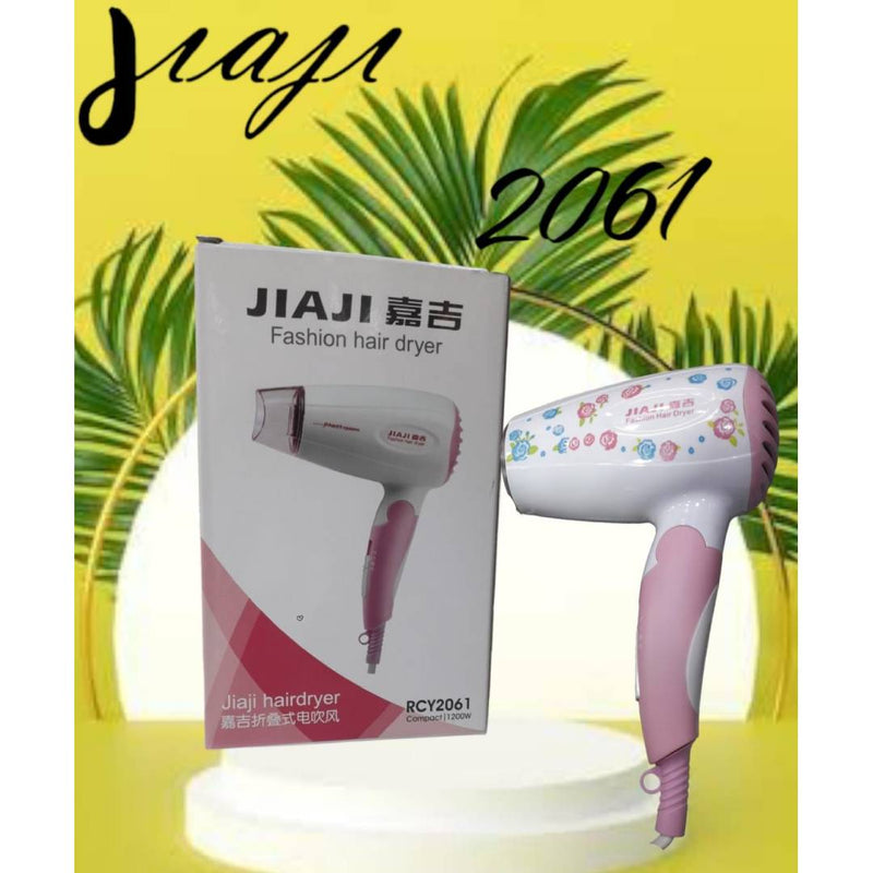 Jiaji Fashion Hair Dryer RCY2061