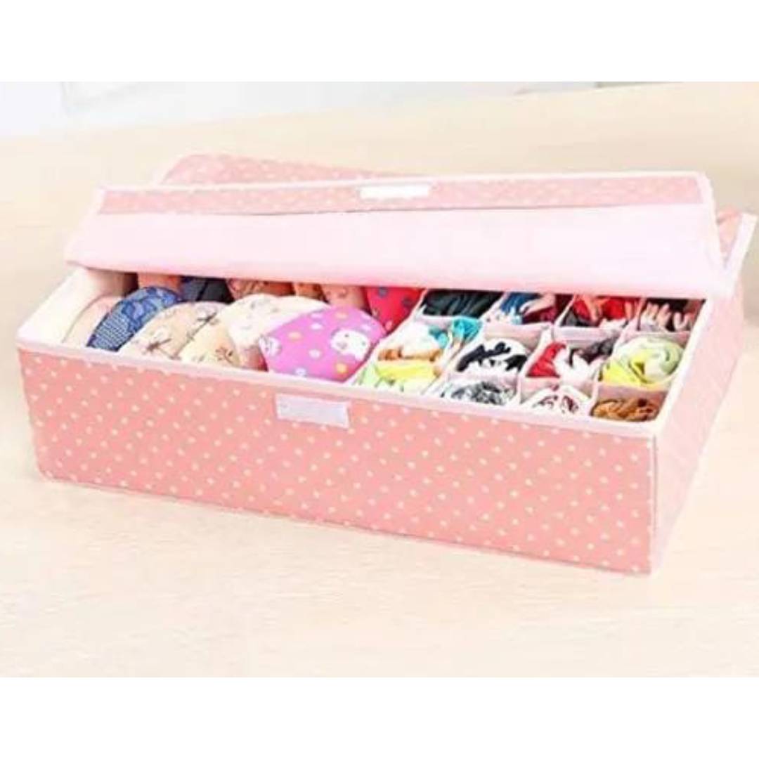Undergarments Organizer Box With Lid Large Size 12 Small Pockets 1 Big