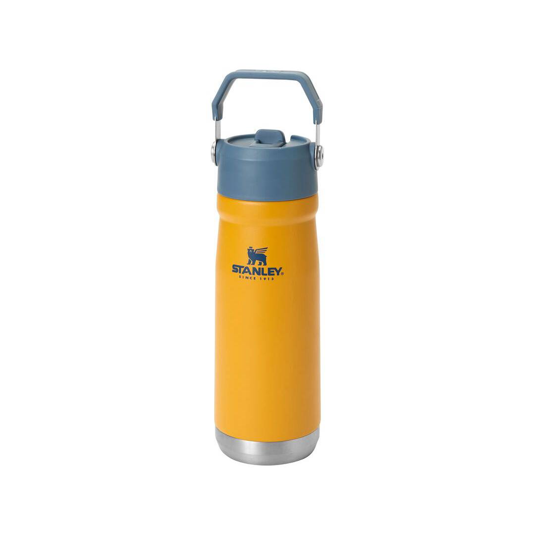 Stanley Stainless Steel Iceflow Flip Straw Water Bottle