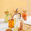 Transparent Borosilicate Glass Mug With Lid And Straw