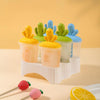 Ice Cream Popsicle Mold DIY Homemade Popsicle Box with Plastic Sticks