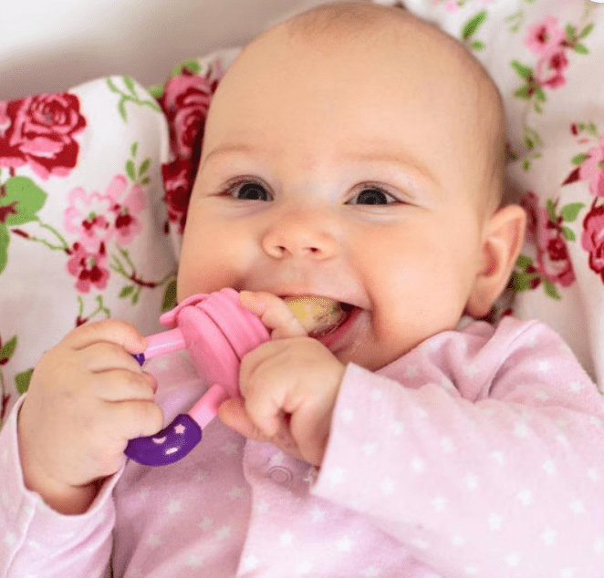 Baby Food Pacifier