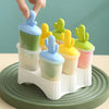 Ice Cream Popsicle Mold DIY Homemade Popsicle Box with Plastic Sticks