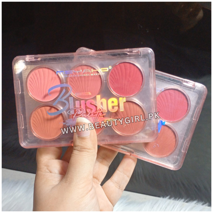 MSYAHO Professional Makeup 6 Colors Blusher Palette Shade 2