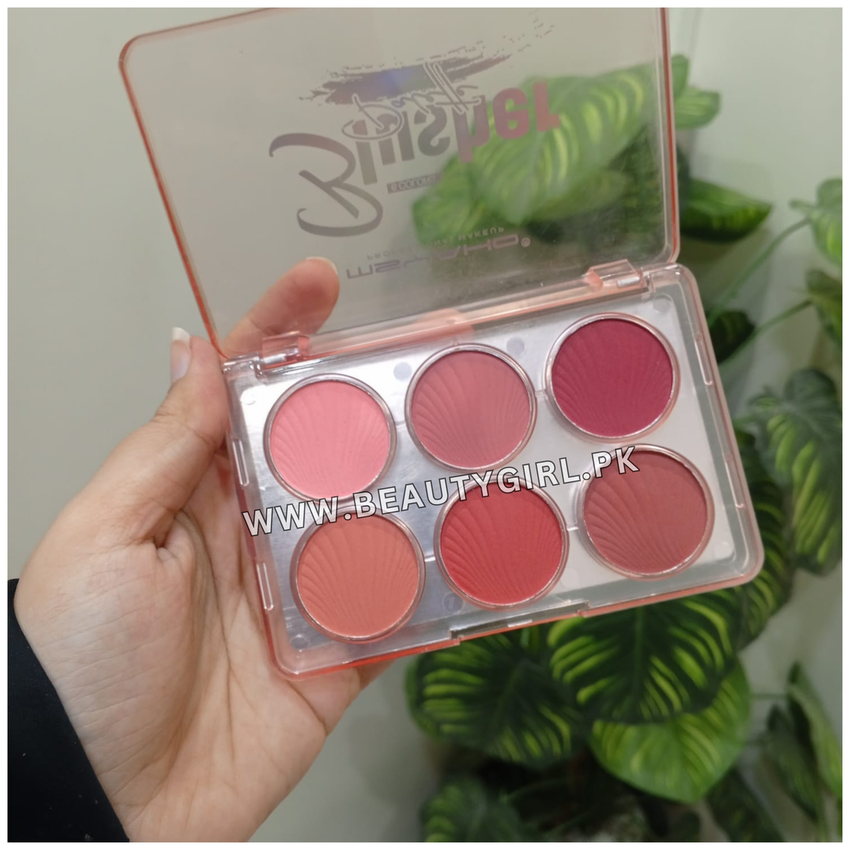 MSYAHO Professional Makeup 6 Colors Blusher Palette Shade 2