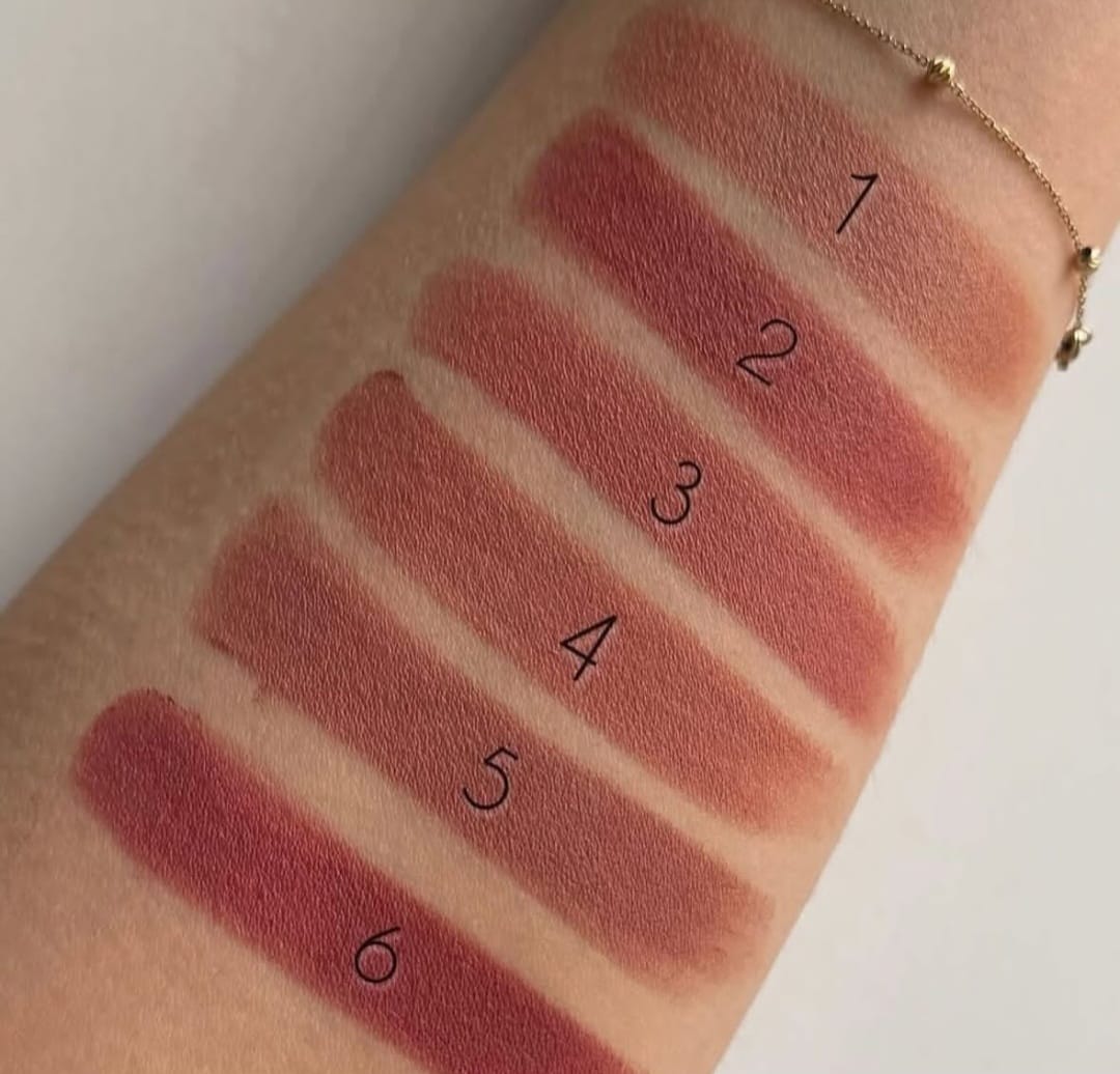 Drohoo Nude Shades Matte Lipstick Set 6 Long Lasting Shades