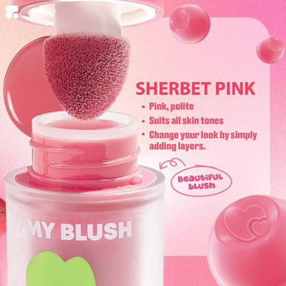 Pagevine Blush Liquid Sweet And Tidy Matte Blush 6Pcs Set