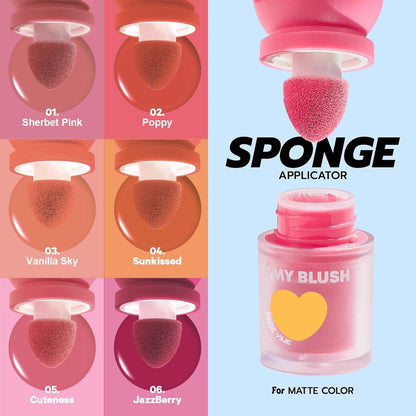 Pagevine Blush Liquid Sweet And Tidy Matte Blush 6Pcs Set