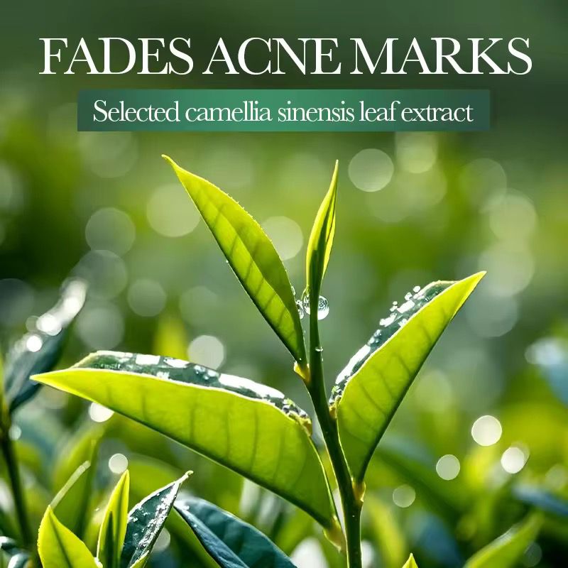 Sadoer Niacinamide Tea Tree Facial Mask 5 Pack