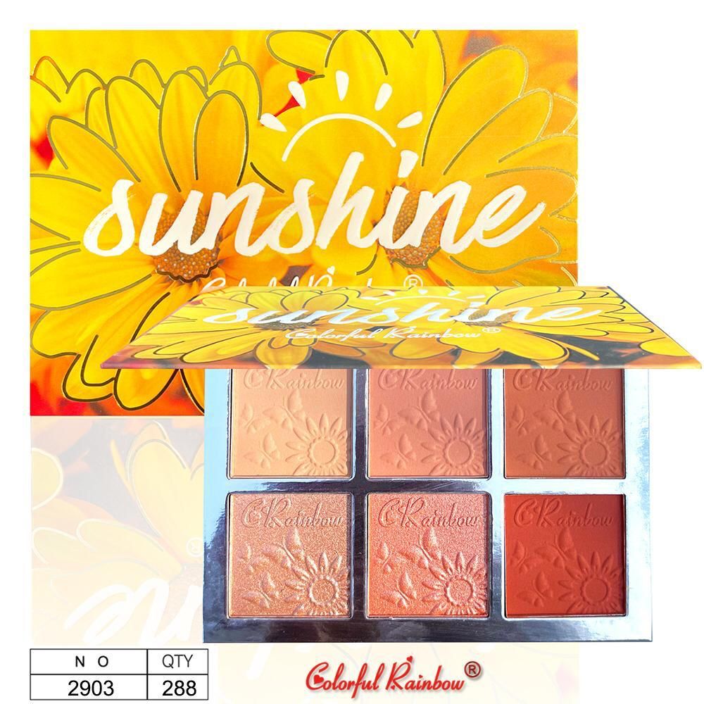 ColorFul Rainbow Sunshine 6in1 Blush Highlighter Palette