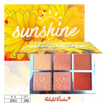 ColorFul Rainbow Sunshine 6in1 Blush Highlighter Palette