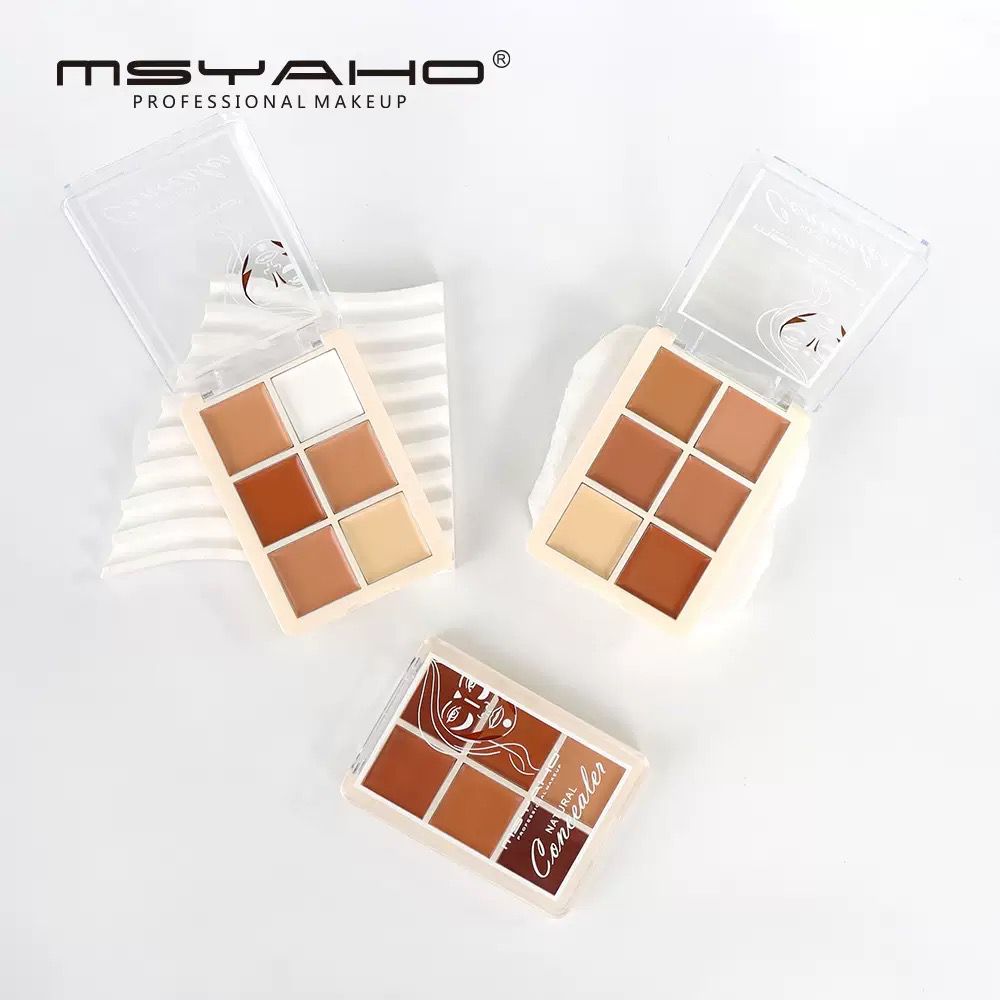 MSYAHO Professional 6 Color  Natural Concealer Palette