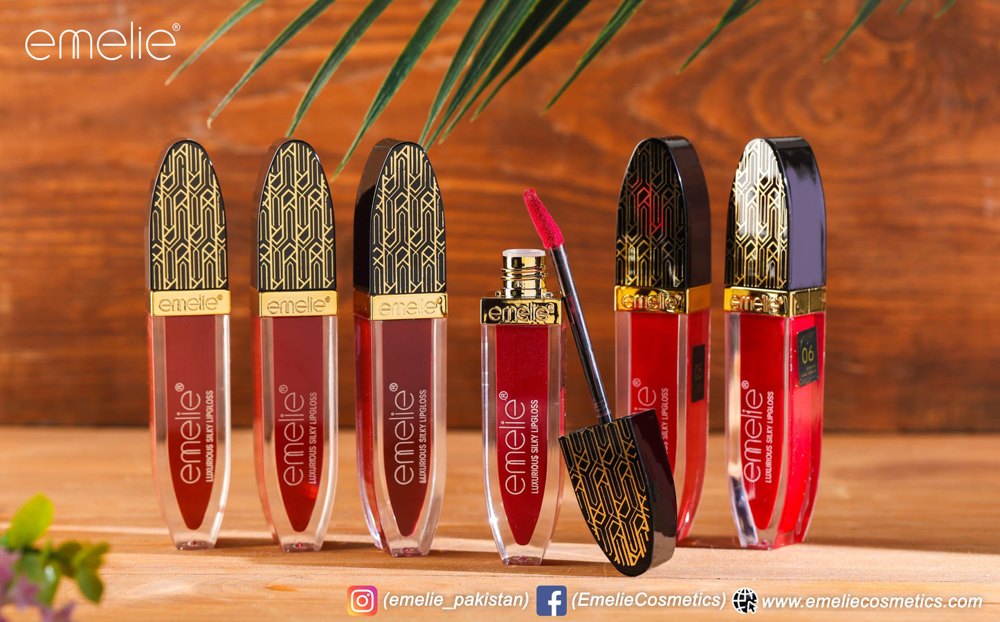 Emelie Luxurios Silky Lipgloss Pack of 6