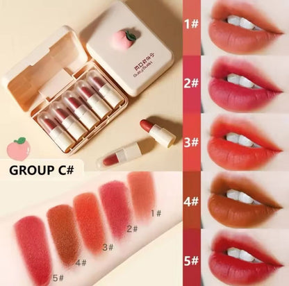 HengFang Mini Matte Lip Stick 5Pcs Set
