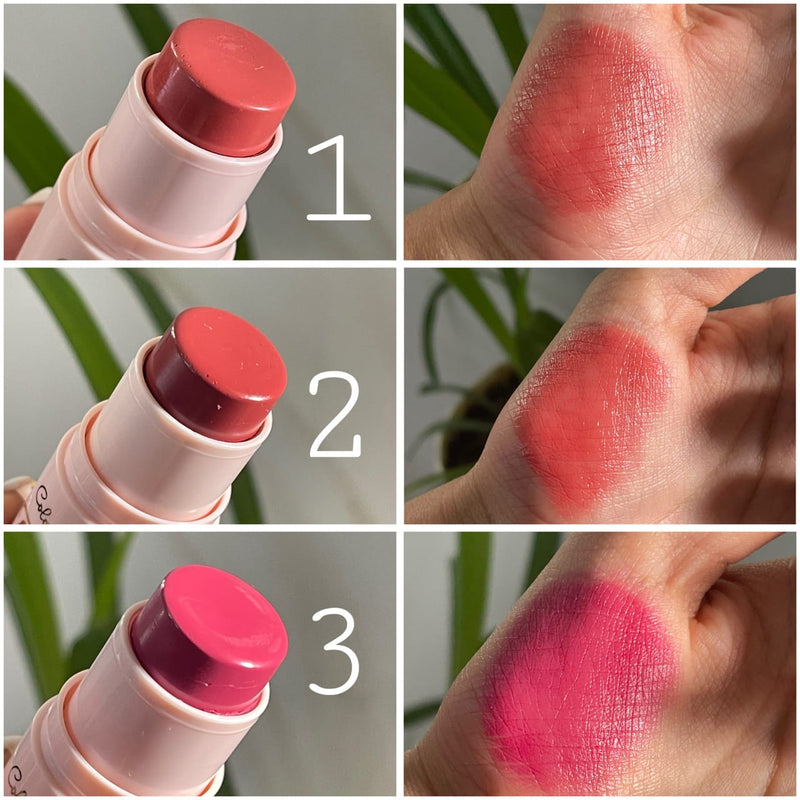 Color Castle On The Go 2in1 Blush Stick 6Pcs Set