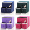 2 Layer Drawer Underwear Bra Handker Clothing Storage Box