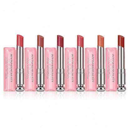 Aiyisha Beauty Hydrating Lipstick 24 Pcs Box