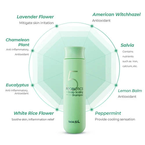 MASIL Probiotics Scalp Scaling Shampoo
