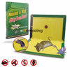 Reusable Expert Catch Mouse Glue Traps