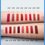 Gelanzi 16 Color Velvet Mini Capsule Lipsticks Matte Lipsticks