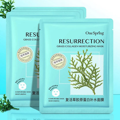 GRASS COLLAGEN MOISTURIZING SHEET MASK