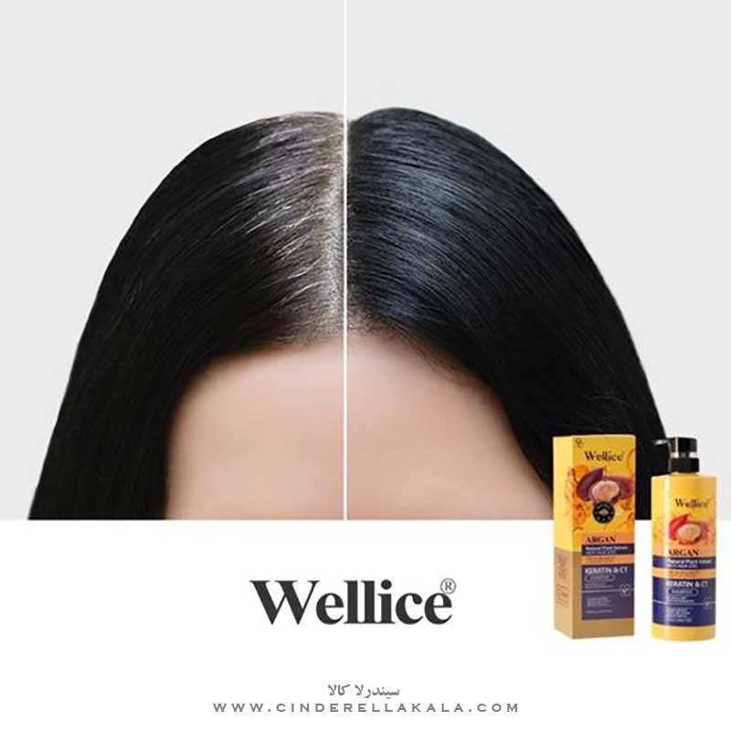 Wellice Argan Natural Plant Extract Anti-Hair Loss Keratin & C1 Shampoo 800ml